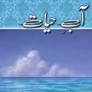Aab E Hayat by Umera Ahmed Episode 8