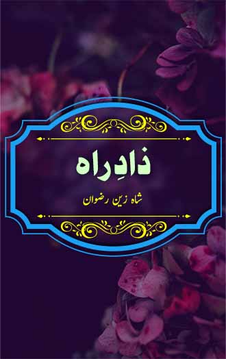 Zad e Rah Novel by Shah Zain Rizwan