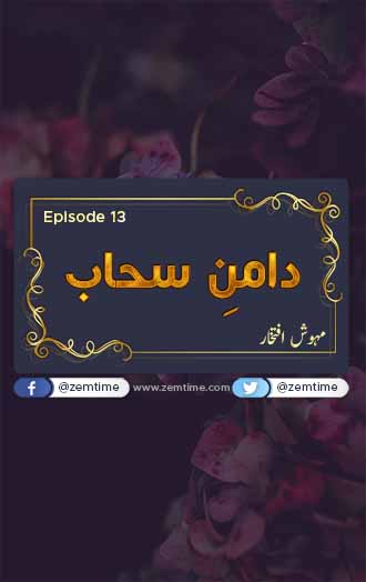Damn e Sahab Episode 13 Mehwish Iftikhar