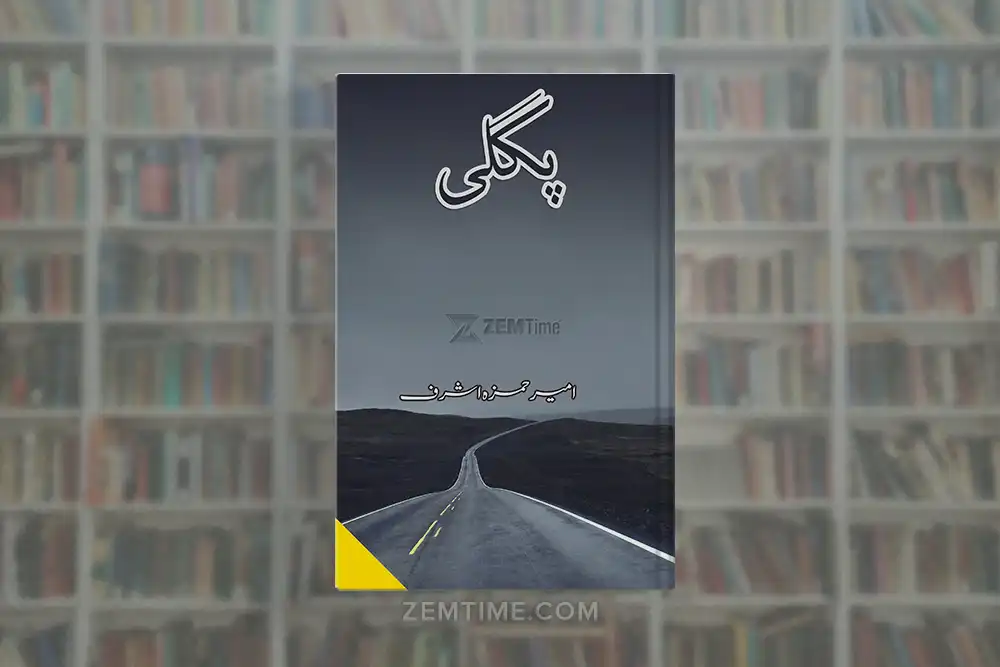 Pagli Novel by Ameer Hamza Ashraf
