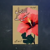 Angna Phool Khilenge Episode 13 by Rahat Jabeen